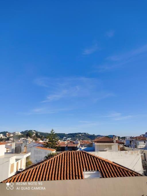 Bozikis House! A Cosy Apartment In The City Centre Skiathos Exterior foto